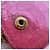Miu Miu Pink Crocodile Embossed Leather Wallet - view 5