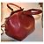 Borsa a mano Giorgio Armani in pelle rossa Rosso - vista 5