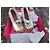 Schiaparelli Basket All-Schiap High-Top Canvas Sneaker Weiß Golden - Ansicht 2