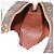 Borsa a tracolla LOUIS VUITTON Monogram Blois M51221 LV Auth am12436 Monogramma - vista 19