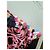 Manoush Kleid mit Tiger- und Herzprint Schwarz Pink Weiß Mehrfarben Golden Lila - Ansicht 3