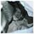 PRADA Backpack Nylon Light Blue Silver  - vista 27