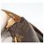 LOUIS VUITTON Monogram Musette Shoulder Bag M51256 LV - vista 14