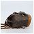 LOUIS VUITTON Monogram Montsouris MM Backpack M51136 LV - vista 4
