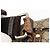 GUCCI GG Supreme Shoulder Bag PVC Beige Gold 201448 - view 9