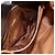 Céline CELINE Macadam Canvas Circle Shoulder Bag PVC Leather Brown Gold - vista 11