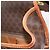 Céline CELINE Macadam Canvas Circle Shoulder Bag PVC Leather Brown Gold - vista 10