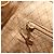 GUCCI Bamboo Backpack Leather Beige Gold 003 2058 0030 - vista 24
