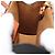 Céline CELINE Triomphe Canvas Micro Vertical Cabas Charm PVC Brown Gold - vista 15