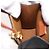 Céline CELINE Triomphe Canvas Micro Vertical Cabas Charm PVC Brown Gold - vista 16