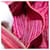 PRADA Shoulder Bag Leather Pink - vista 22