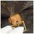 LOUIS VUITTON Monogram Montsouris GM Backpack M51135 LV - vista 12