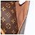 LOUIS VUITTON Monogram Sologne Shoulder Bag M42250 LV - vista 24