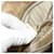 PRADA Tote Bag Nylon Beige Silver - vista 11