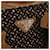 PRADA Hand Bag Canvas Brown Silver - vista 17