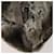 FENDI Backpack Fur Beige Silver - vista 17