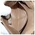 GUCCI GG Supreme Web Sherry Line Bag PVC Beige Gold 10 02 037 - vue 22