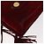 Salvatore Ferragamo Shoulder Bag Suede Red Gold - vista 13
