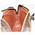 LOUIS VUITTON Monogram Marly Bandouliere Shoulder Bag M51828 LV - vista 17
