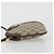 GUCCI GG Supreme Shoulder Bag PVC Leather Beige Gold - vista 5