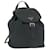 PRADA Chain Shoulder Backpack Nylon Green Silver