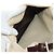 FENDI Zucca Canvas Mamma Baguette Shoulder Bag Ivory Silver - vista 20