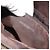 FENDI Zucca Canvas Hand Bag Black Brown - vista 12