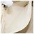 CHANEL Wild Stitch Hand Bag Leather White Gold CC - vista 22