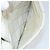CHANEL Wild Stitch Hand Bag Leather White Gold CC - vista 24