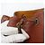 LOUIS VUITTON Epi Noe Shoulder Bag Brown M44028 LV - vista 10