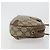 GUCCI GG Supreme Web Sherry Line Bag PVC Beige Gold 89 02 066 - vista 3