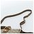 GUCCI GG Supreme Web Sherry Line Bag PVC 2way Beige Gold 41 02 039 - vista 14