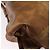 LOEWE Anagram Hand Bag Leather Bronze Gold - vista 9