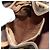 Céline CELINE Macadam Canvas Backpack PVC Leather Brown Gold - vista 26