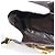 Miu Miu Shoulder Bag Harako leather Beige Gold - vista 19