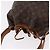 LOUIS VUITTON Monogram Petit Noe Shoulder Bag M42226 LV - vista 6