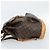 LOUIS VUITTON Monogram Montsouris GM Backpack M51135 LV - vista 4