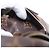LOUIS VUITTON Monogram Palm Springs MINI Backpack M44873 LV - vista 27