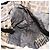 FENDI Zucca Canvas Tote Bag Black Brown - vista 19