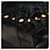 PRADA Chain Shoulder Bag Fur Black Silver - vista 16
