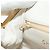 CHANEL Schultertasche mit Kette aus Leder Gold CC - Ansicht 24