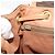 Céline CELINE Macadam Canvas Backpack PVC Leather Brown Gold - vista 21