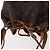 LOUIS VUITTON Monogram Petit Noe Shoulder Bag M42226 LV - vista 6