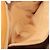 GUCCI Micro GG Supreme Tote Bag PVC Beige Gold - vista 21