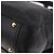 Miu Miu Shoulder Bag Leather 2way Black Gold - vista 18