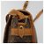 LOUIS VUITTON Monogram Sologne Shoulder Bag M42250 LV - vista 10