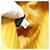 PRADA Hand Bag Nylon Yellow Yellow - vista 12