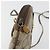 GUCCI GG Supreme Web Sherry Line Bag PVC Beige Gold 904 02 047 - vista 15