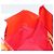 LOUIS VUITTON Monogram Vernis Reade PM Hand Bag Red Rouge M91088 LV - vista 20