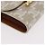 Céline CELINE Triomphe 3 Fold Wallet PVC Beige Gold - vista 7